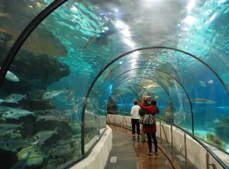 Acquario Barcellona