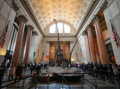 American Museum of Natural History a New York
