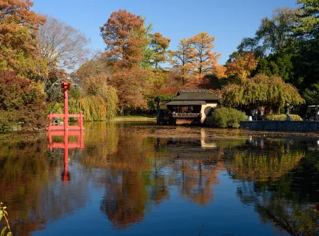 Brooklyn Botanic Garden a New York