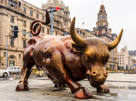 bull town