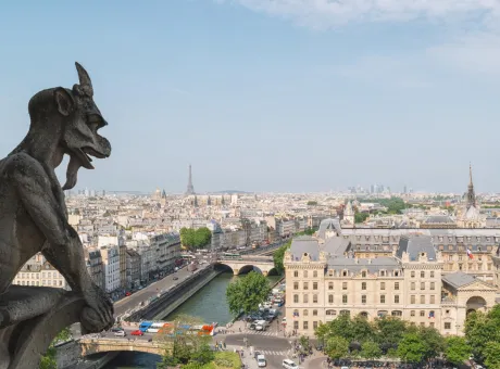 chimera gargoyle cathedral notre dame de paris overlooking paris