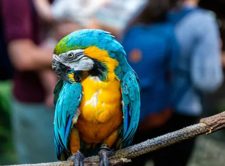 crisoforo gaspar hernandez djcq8or0oos unsplash