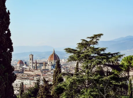 giardino-rose-vista-firenze.jpg