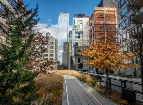 high line park new york usa 2022 03 30 00 27 48 utc