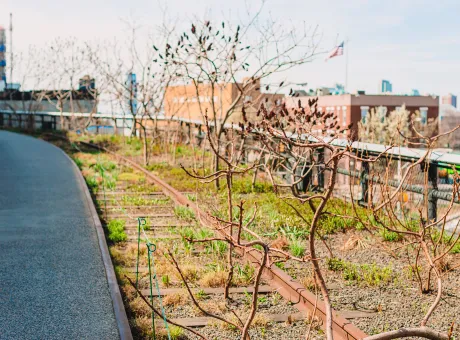 high line urban park in new york 2022 03 10 07 34 10 utc
