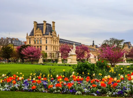 marvelous spring tuileries garden view louvre palace paris france april 2019