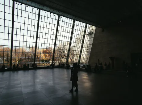matthieu joannon vvhhulgpmky unsplash