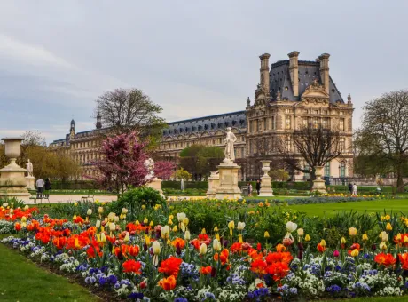 paris france april marvelous spring tuileries garden view louvre palace