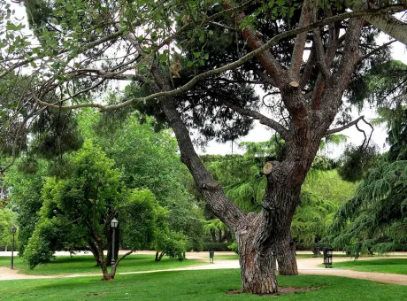 Parque del Oeste a Madrid