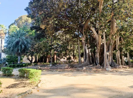 piazza marina2