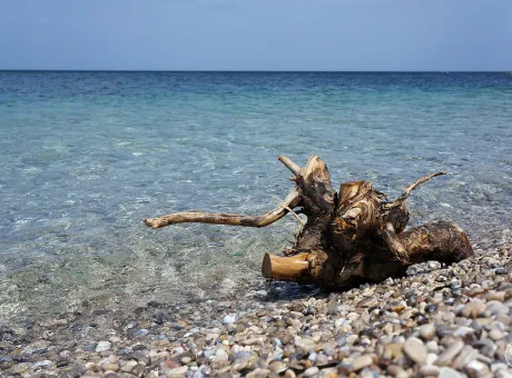 pizzolungo-trapani.jpeg