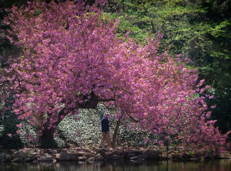 qihai weng xzb816ugx34 unsplash