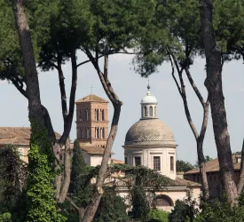 Palatino di Roma