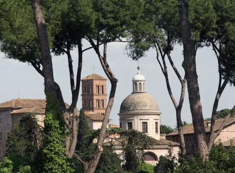 Palatino di Roma