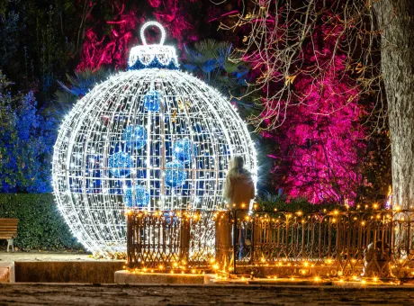royal botanical garden madrid illuminated during christmas time 1