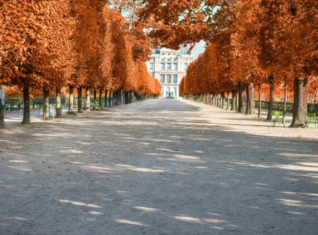 tuileries garden paris