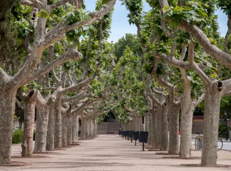views from beautiful citadel park parc de la ciutadella located barcelona spain 1