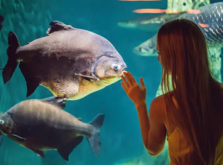 young woman touches stingray fish oceanarium tunnel 1