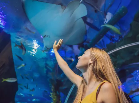 young woman touches stingray fish oceanarium tunnel